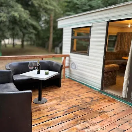 Holenderek Agro-stajnia Chalet Rudniki (Wolomin)