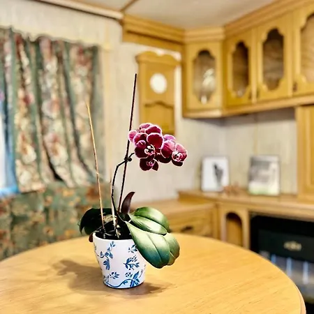 Holenderek Agro-stajnia