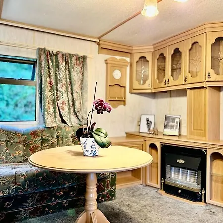 Holenderek Agro-stajnia Rudniki (Wolomin)