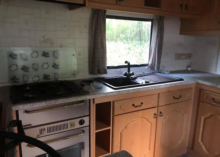 Holenderek Agro-stajnia Rudniki (Wolomin)