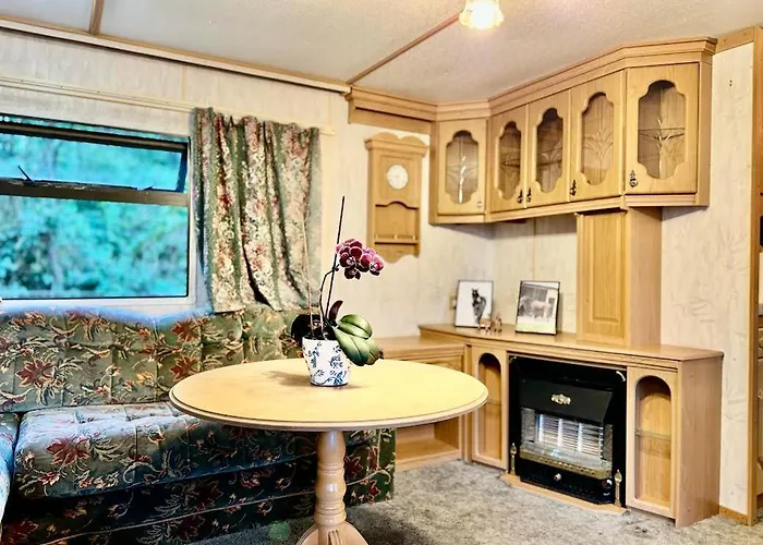 Holenderek Agro-stajnia Rudniki (Wolomin)